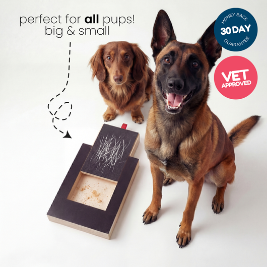 HomeFinds Wooden Dog Scratching Board