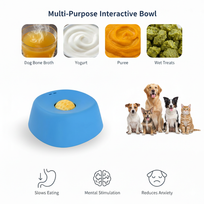 HomeFinds Lick Bowl